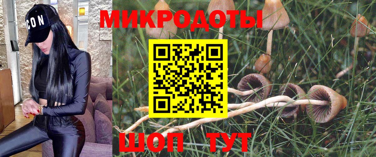 Псилоцибиновые грибы ЛСД  Вход с VPN  Псилоцибиновые грибы Psilocybine cubensis  Большой Камень 